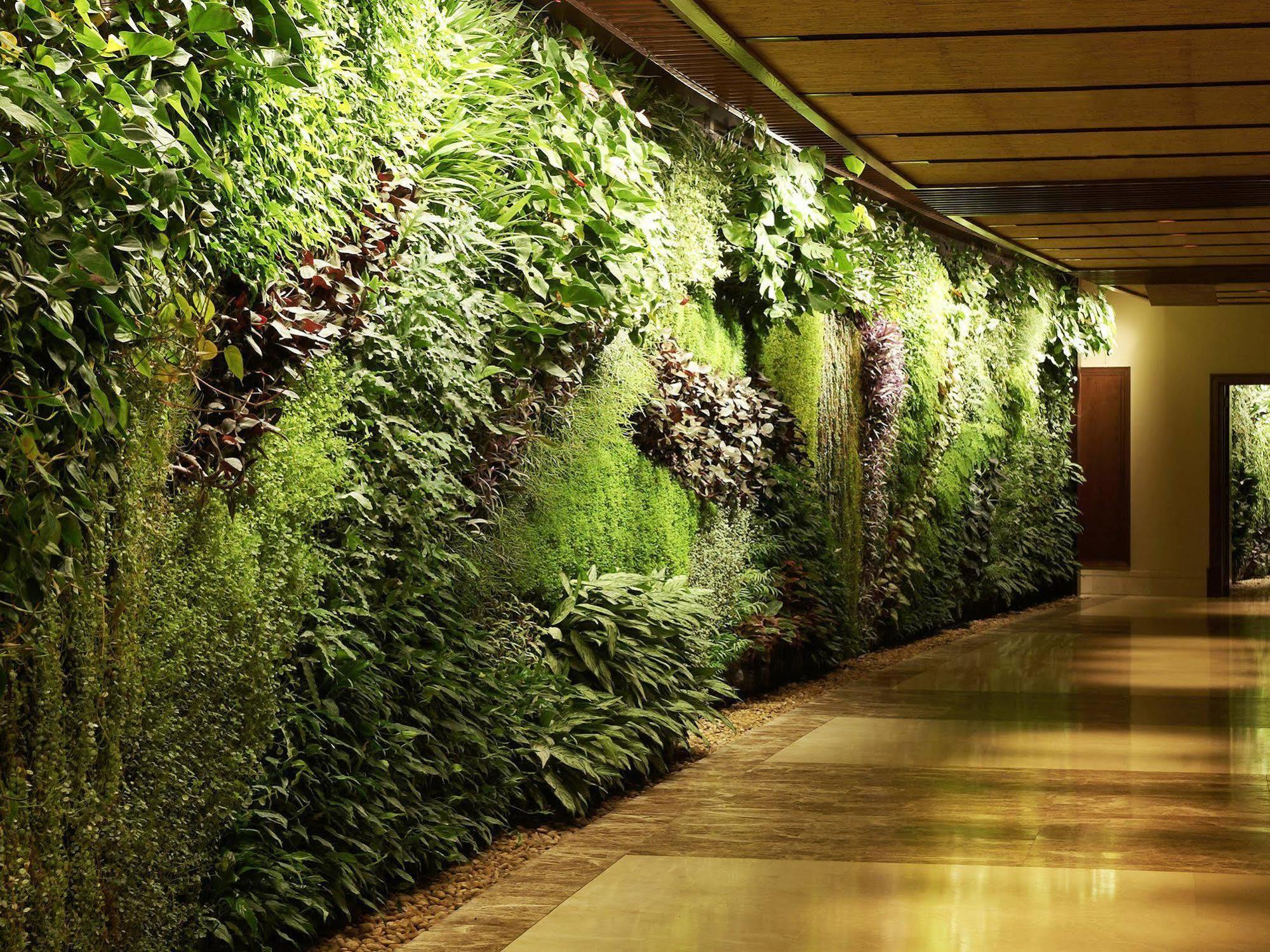 سوفيتل دبي للشقق الفندقية المظهر الخارجي الصورة A living wall at the Wynn Las Vegas